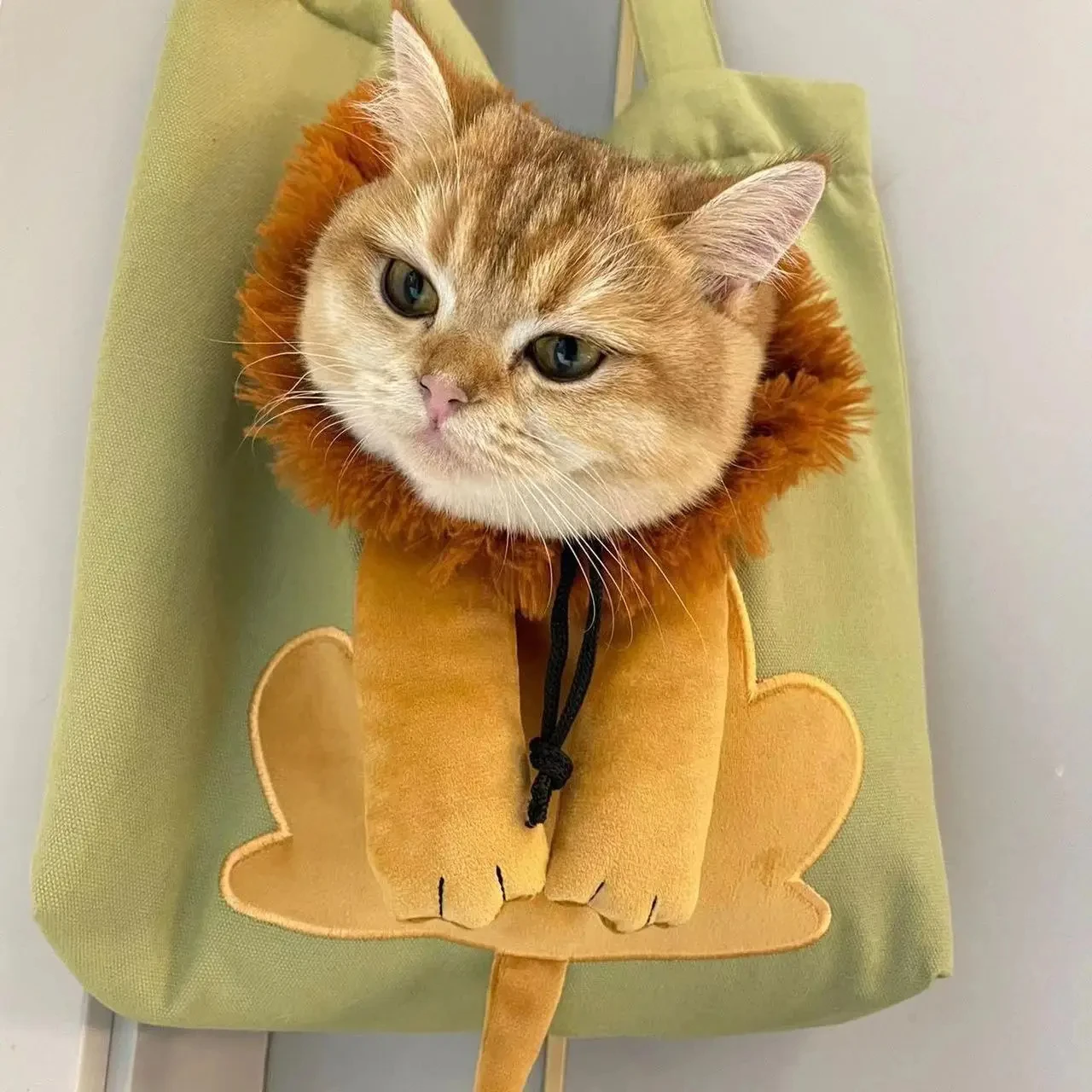 

Lion Design Cat Dog Carrier Bags Portable Breathable Bag Soft Pet Carriers with Safety Zippers Outgoing Travel Pets Handbag