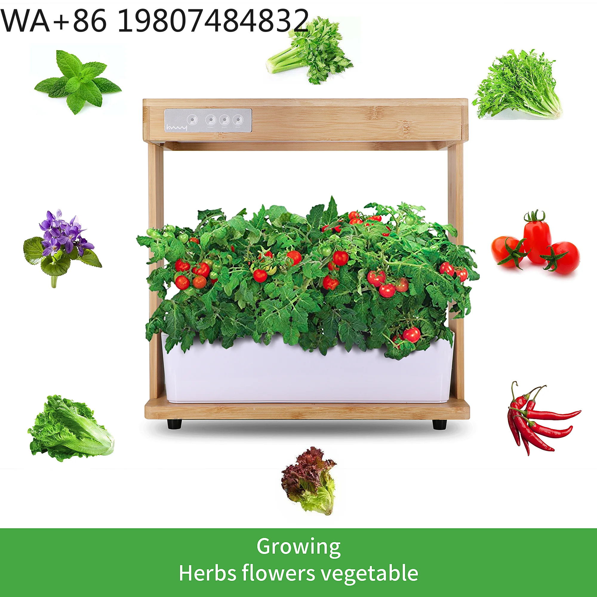 Doğal Bambu Çerçeveli 8 Bölmel - Hydroponic Grow Pod incelemesi ve fiyatı