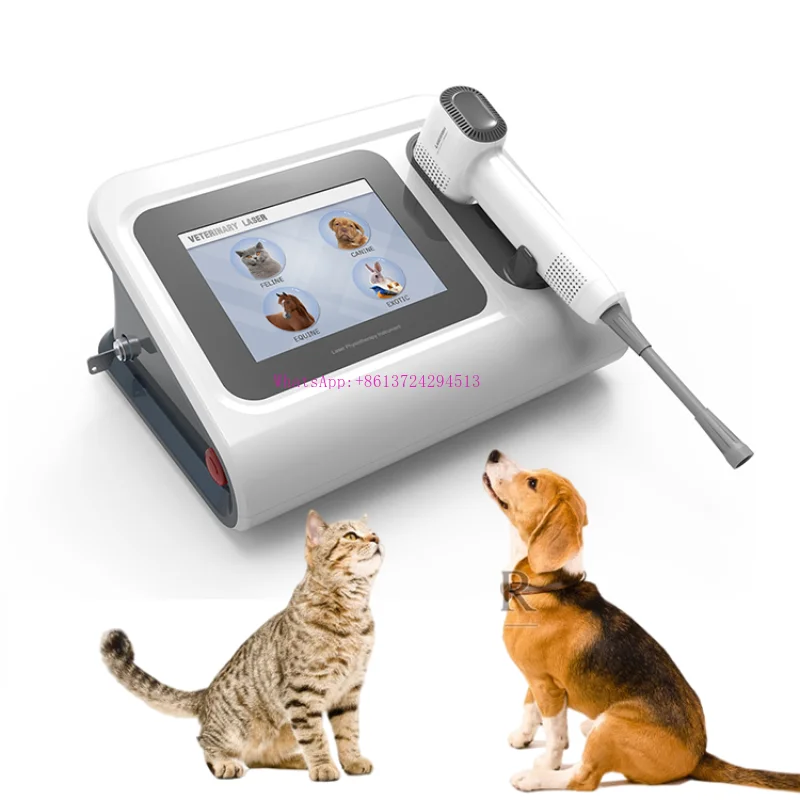 

Pet Hospital veterinary laser therapy equipment laser physical therapy For Animal relief of pain