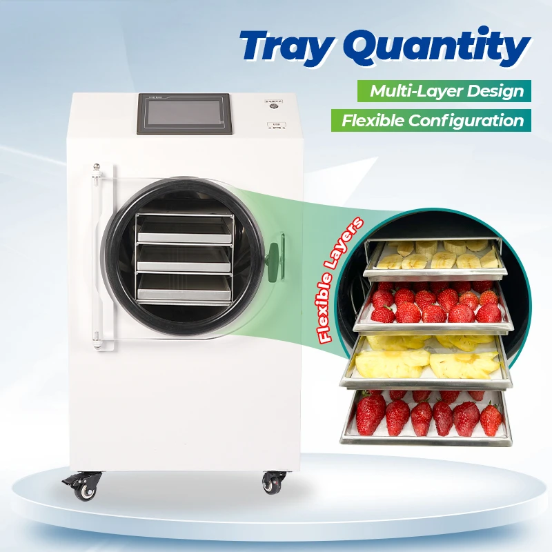 Home Dryer Mini Freeze Drying Equipment Pump For Food Processing Automatic High Efficiency SUS304 Material 4-6Kg Capacity