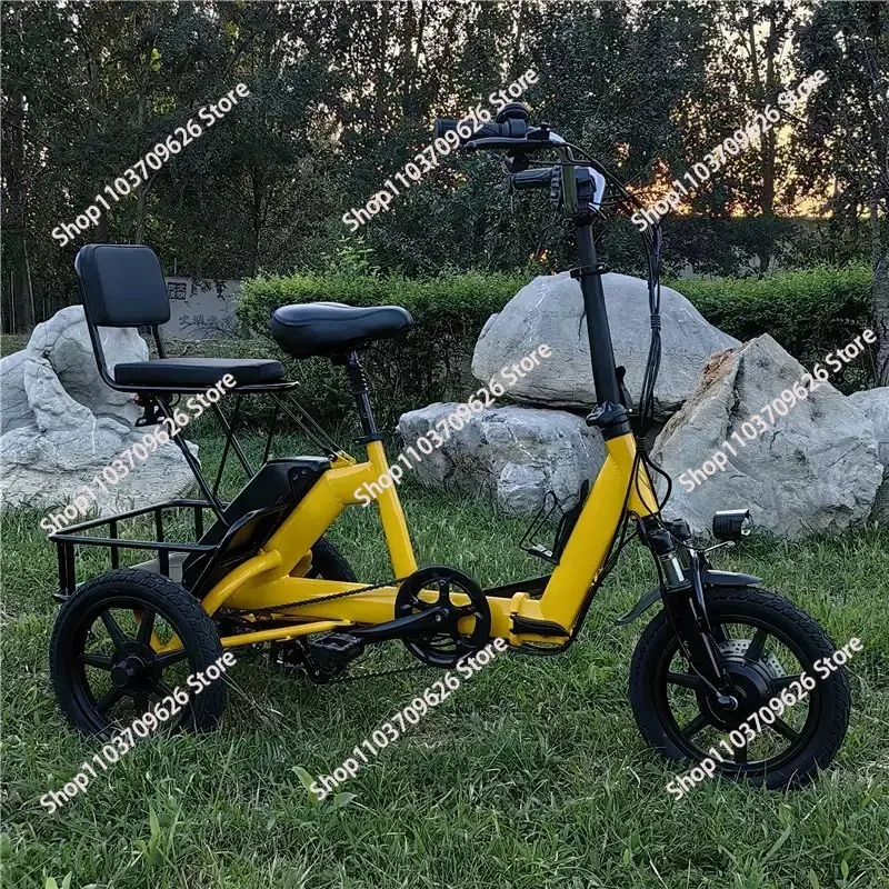 14 Inch 3 Wheeled Electric Tricycle Foldable 48V 350W Electric Bike For Adults 2 Person With Removable Rear Seat Max Speed 20