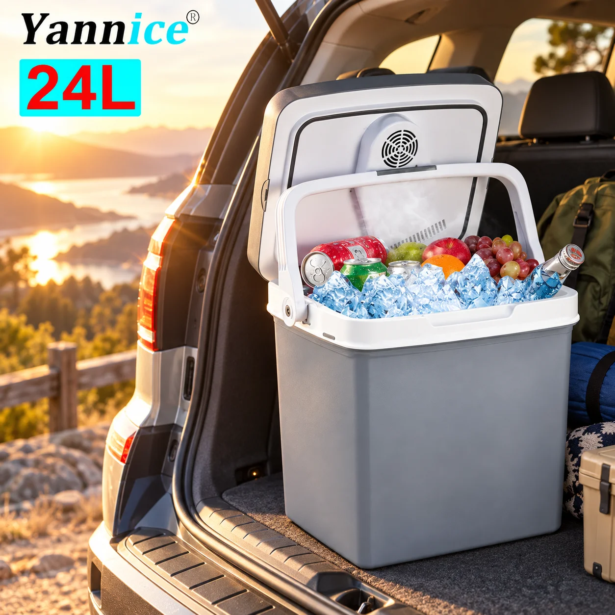 24L Car Refrigerator Cooler and Warmer Car Home Dual Use Electric Cooler Box with Handle Portable Mini Fridge for Camping Travel