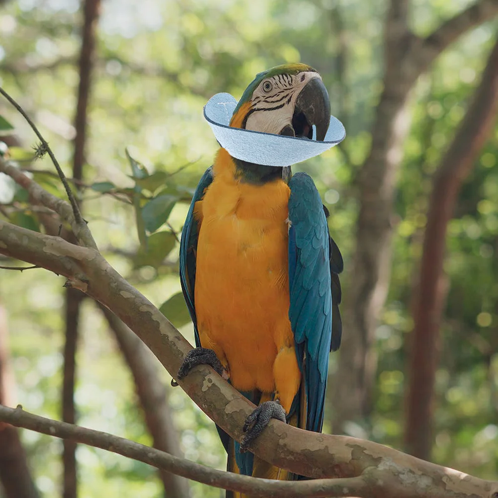 

Parrot Trap Bird Accessories Anti-pecking Cone Neck Protector Bite Collar Small Pet
