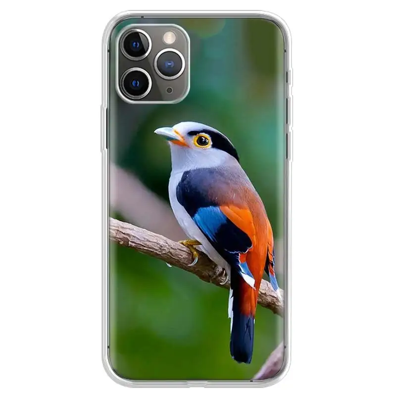 lovely birds Phone Case For iPhone 17 Air 11 13 Mini 14 15 Plus 16 12 Pro Max 16E SE 7 8 Pattern Soft TPU Back Cover Case For Ap