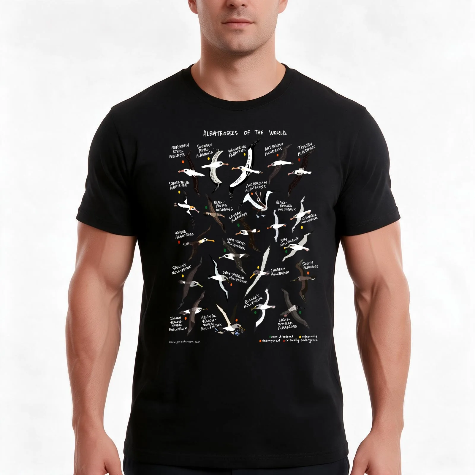 Albatrosses of the World T-Shirt, Summer Casual Cotton Tee, Oversized Streetwear Tops, Vintage Graphic Print, Unisex Men Women