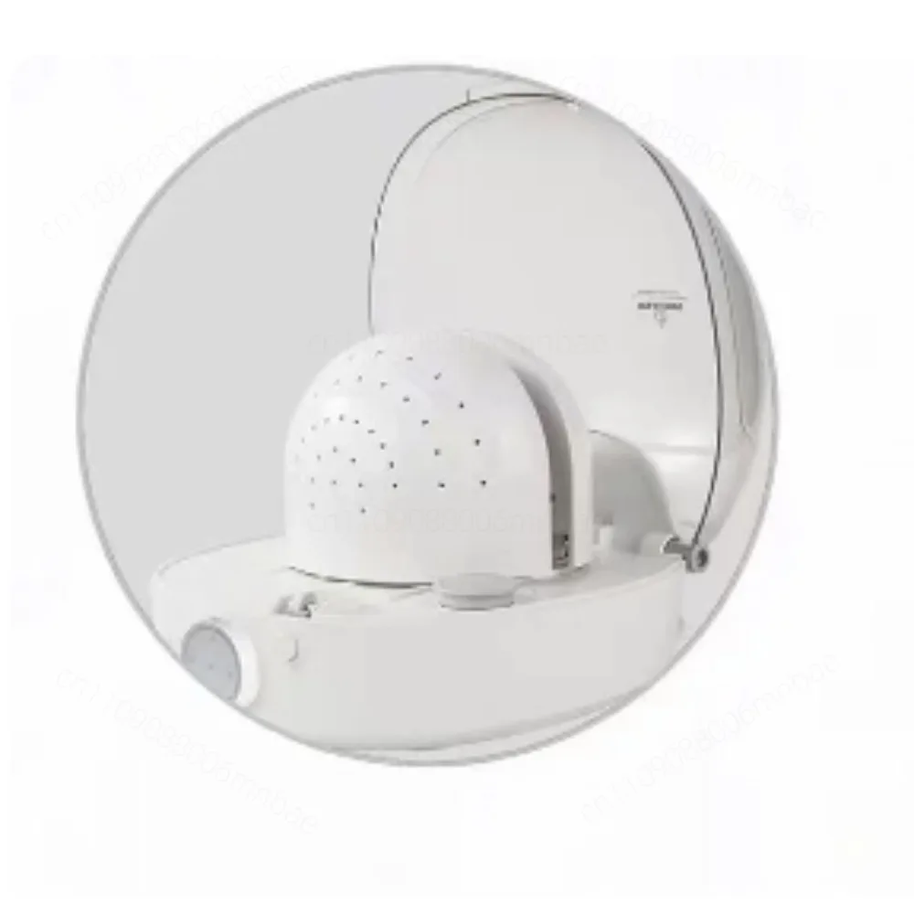 Multifunctional Hat Care Steam Machine High-power Ironing Machine