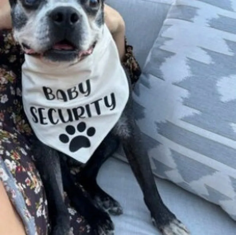 Baby Security Dog Bandana Pregnancy Announcement Photos Shower Gift Gender Reveal Black White Scarf For Pet New Baby view 4