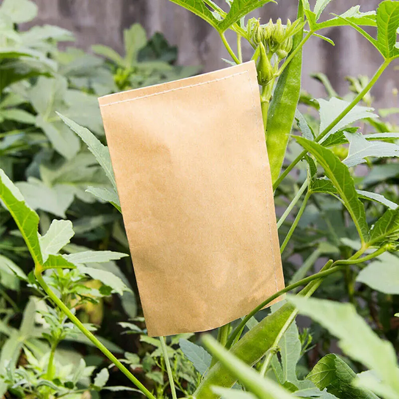 100pcs 6x10cm Multi-Purpose Kraft Paper Bags Tea Food Seed Coins Storage Mini Packages Envelopes Home Storage Bags Storage Tool