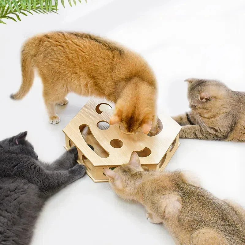 

Интерактивная игрушка для кошек с перьями, автоматическая тизер для скрытого твика, развлечение для котят, взрослых кошек