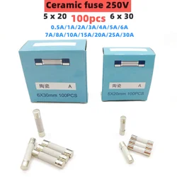 100pcs 5*20mm 6*30mm ceramics fuse 250V 0.5 1 2 3 4 5 6 8 10 15 20 25 30A  fuse Electronic component voltage protection