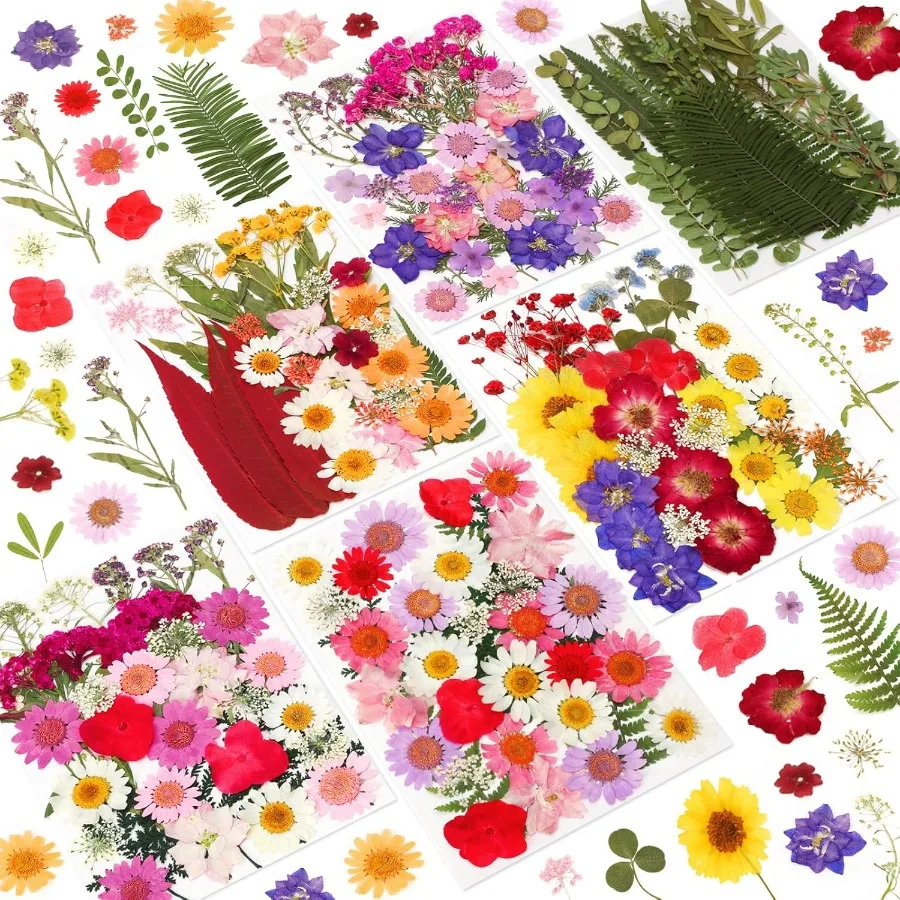 

NESCCI 210 шт. сушеные прессованные цветы для смолы, настоящая природа, сушеные цветы для поделок, объемные сухие цветы, листья, комплект, используемый для смолы M