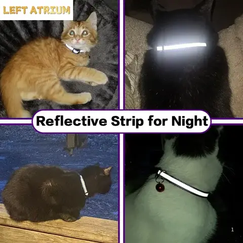 नाम अनुकूलित करें वैयक्तिकृत रंगीन बुना पैटर्न बिल्ली कॉलर जैक्वार्ड डिजाइन सुरक्षा ब्रेकअवे बकल 10 best sales टूटे हुए बिल्ली के कॉलर - №7