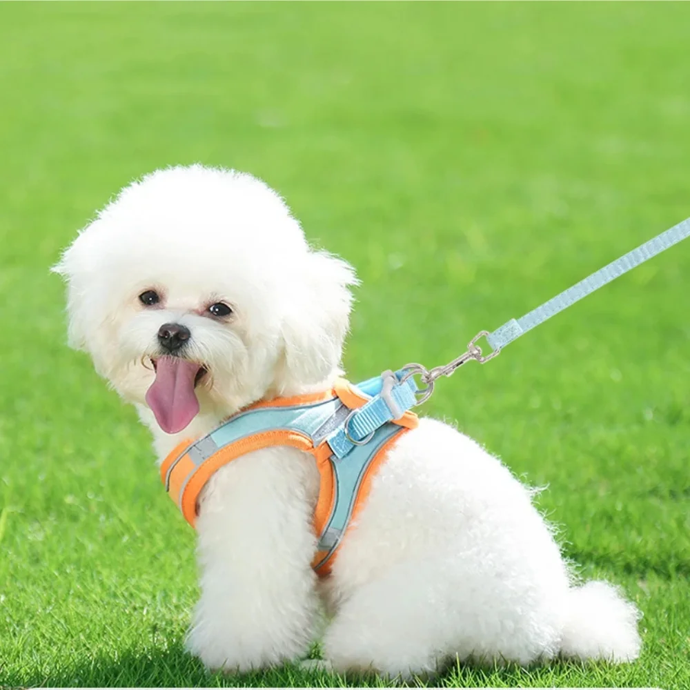 No Pull Dog Harness And Leash Set Adjustable Pet Harness Vest For Small Dogs Cats Reflective Dog Chest Strap Lead Walking