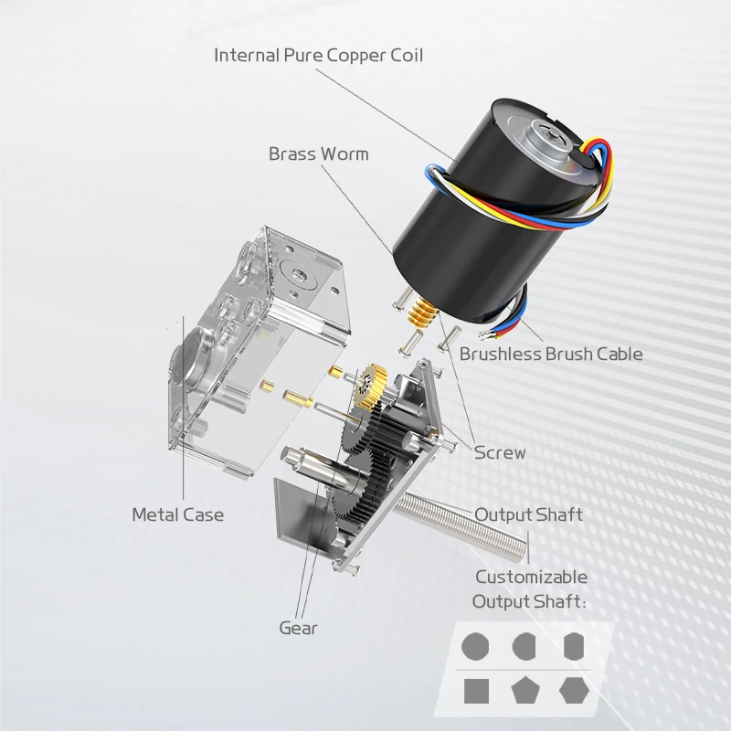 Imagem -06 - Rosca de Eixo Longo Turbina Worm dc Redução Motor High Torque Motor sem Escova para a Frente e Reverso 12v 24v 58403650-m8