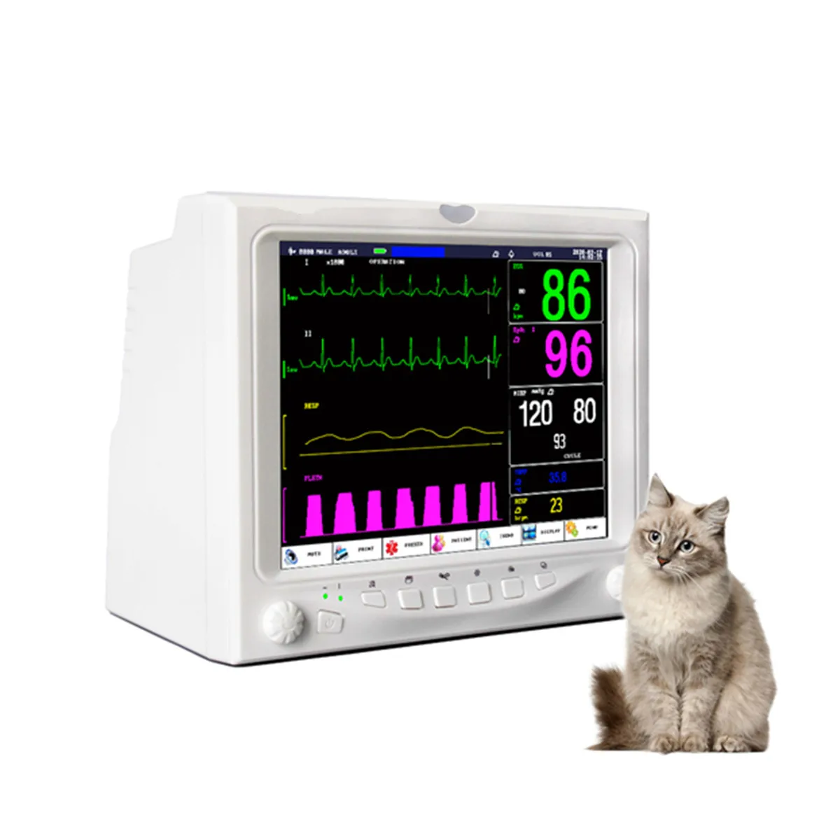 

Animal 12 Inch Multiparameter Veterinary Patient Monitor TFT 12 Inch Screen 6 Parameter Optional for Capnograph