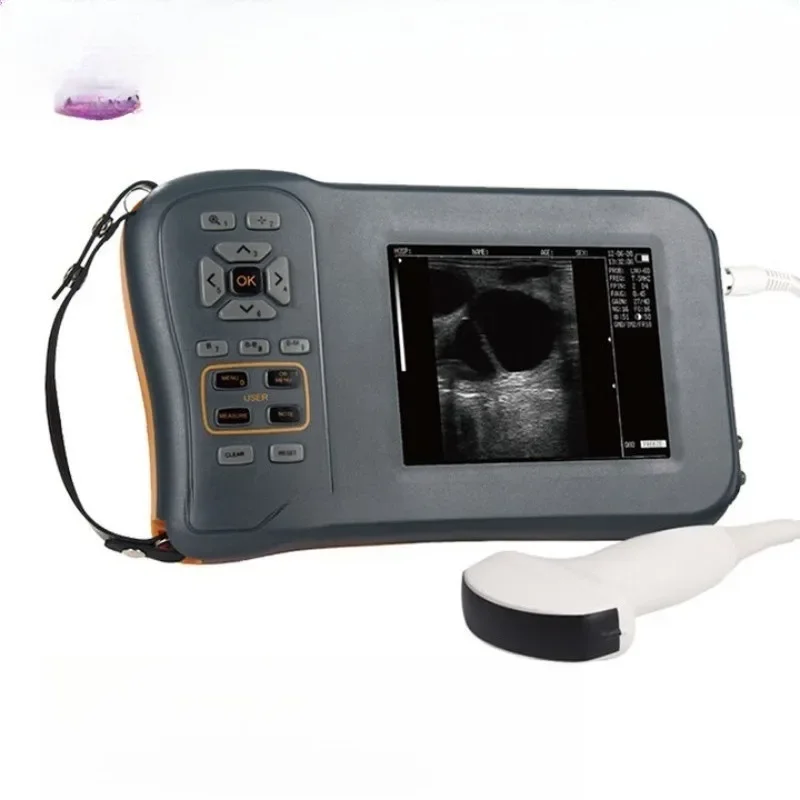 Color veterinary B-ultrasound electronic probe B-ultrasound detector for pigs Large screen B-ultrasound for pigs After