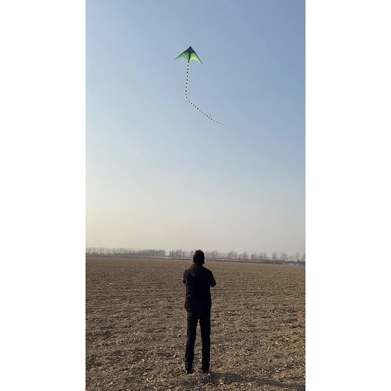 Cometa de murciélago relámpago fácil de volar, cometa de dibujos animados para niños, gran cola larga