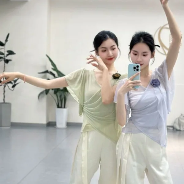 Elegant Floral Net Dance Costume Women's Practice Uniform Body Shape Performance Shirt Classical Dance Outfit Fairy Atmosphere