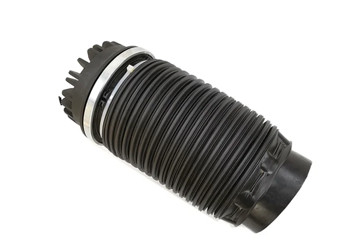 Suspensi Udara Belakang untuk Dodge Ram 1500 Per Suspensi Udara Belakang 68248948AA 04877136AA 04877136AB