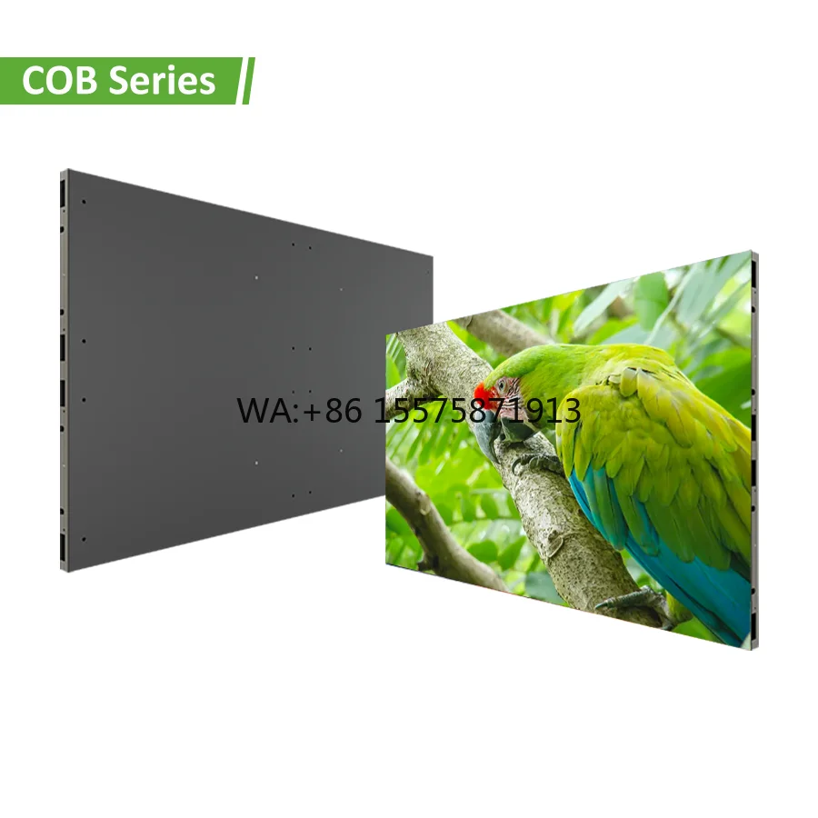 Special  HD Video COB LED Film Screen with P2  P3.9L for  Floor Stand  Instal tion LED Screen Disp y