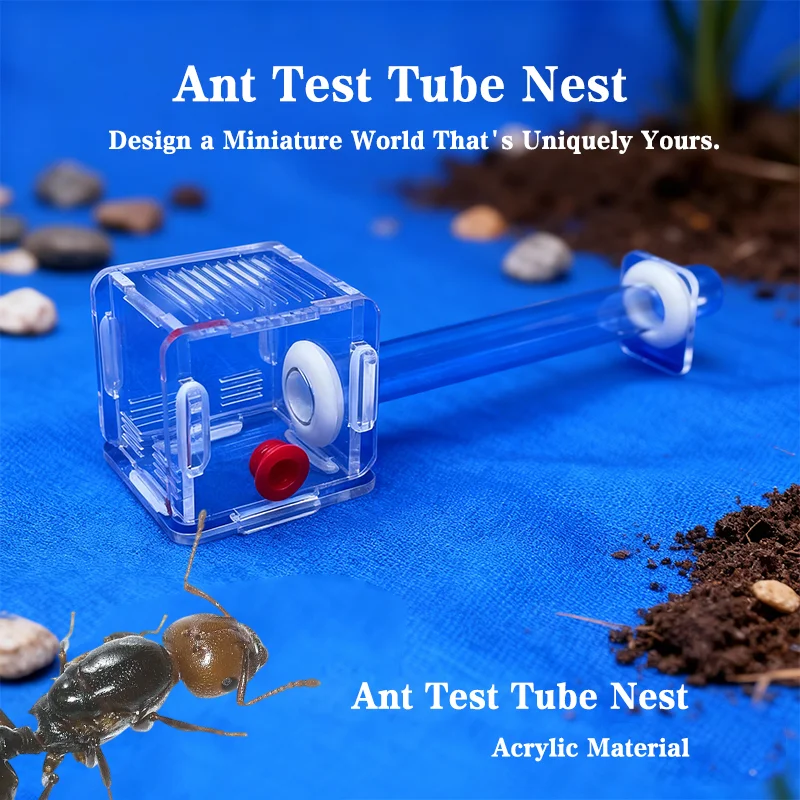 Ant Farm Anthrill A…