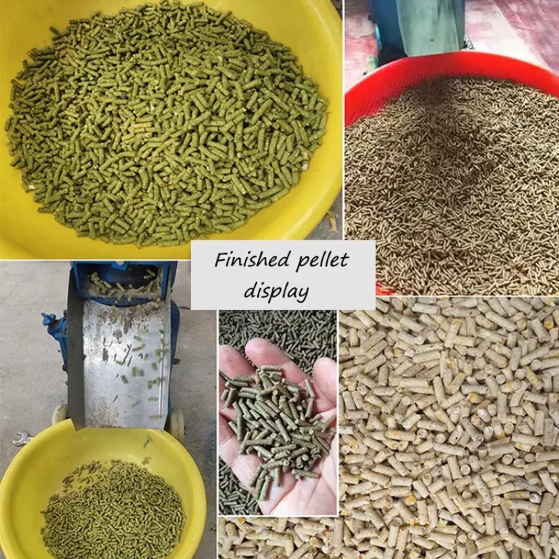 

Cross-border Special Offers Condition Small Electric Chicken Pellet Mill Agricultural Poultry Animal Feed Pellet Making Machine