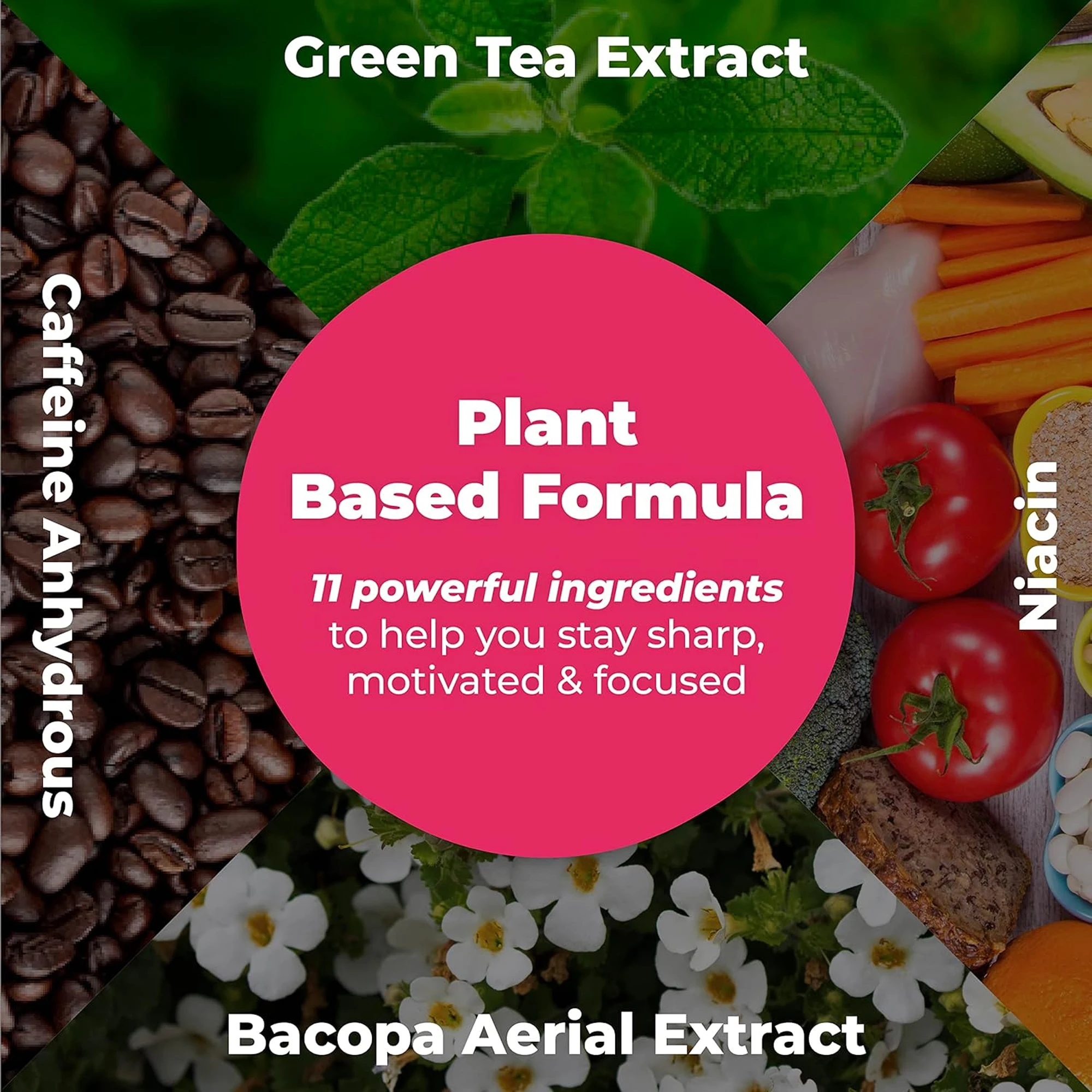 Ageless Brain - Niacin, Vitamin B6 -Memory, Focus, Boost Brain Health, Learn and Concentrate