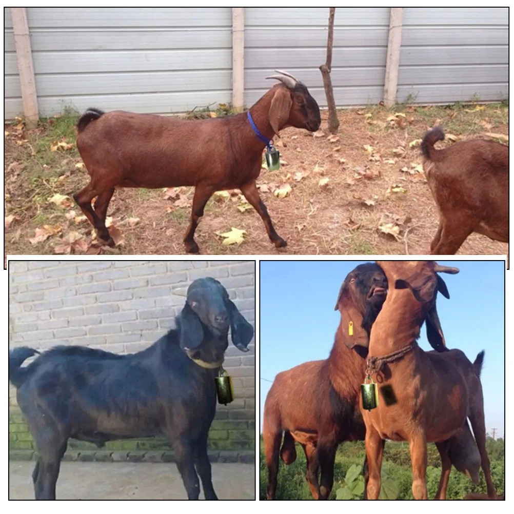 

4pcs Cow Bells Large Galvanized Alloy Livestock Hanging Bells For Anti Lost Device Farming Accessories Grazing Supplies Horse