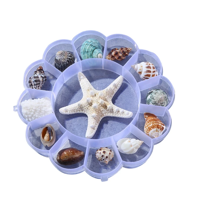 Colored Seashell Suitable for Beach Theme Parties Home Decoration Diy Craft Drop shipping