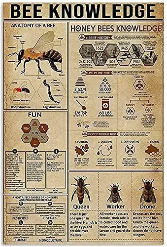 Lustiges Blechschild, Bienenkenntnis, Anatomie einer Biene, Honig, Metallschild, Geschenk, Schlafzimmer, Retro-Neuheit, Café, Geschäft, Blechschilder