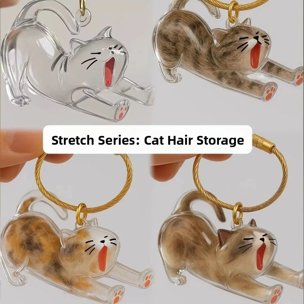 New Transparent Cat Hair Storage Keychain Cute DIY Pet Fur Keepsake Capsule Portable Souvenirs Keychain Pet Lovers image 3