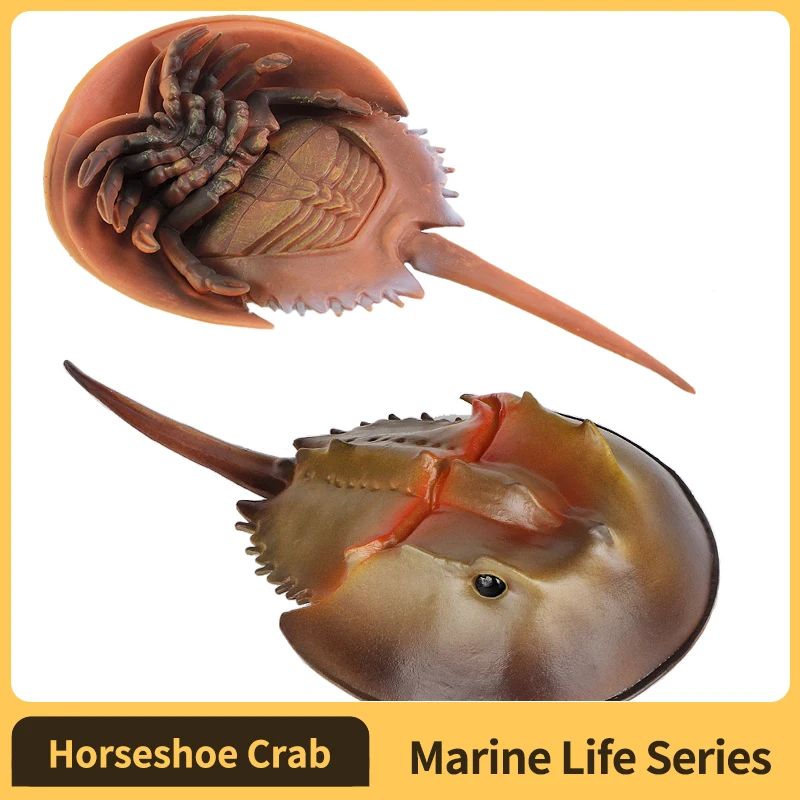 สัตว์ทะเล Horseshoe Crab Figurine - โมเดลพลาสติกอะนิเมะตัวเลข - ของเล่นเพื่อการศึกษาแสนสนุกสําหรับเด็กชาย เด็กหญิง และเด็กอายุ 3 ปีขึ้นไป