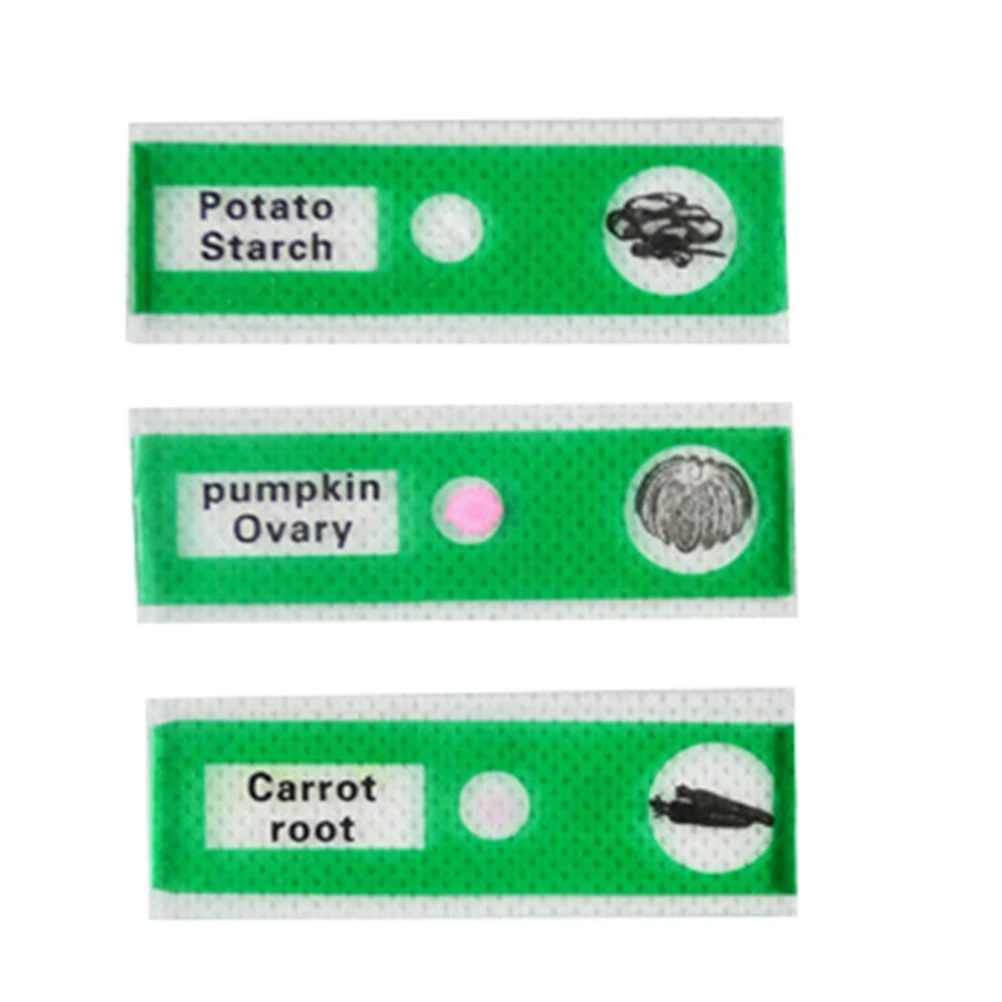 12Pcs Plastic Microscope Slides Assorted Color Biological Specimen for Student Education Kids Entomology Botany Mammology