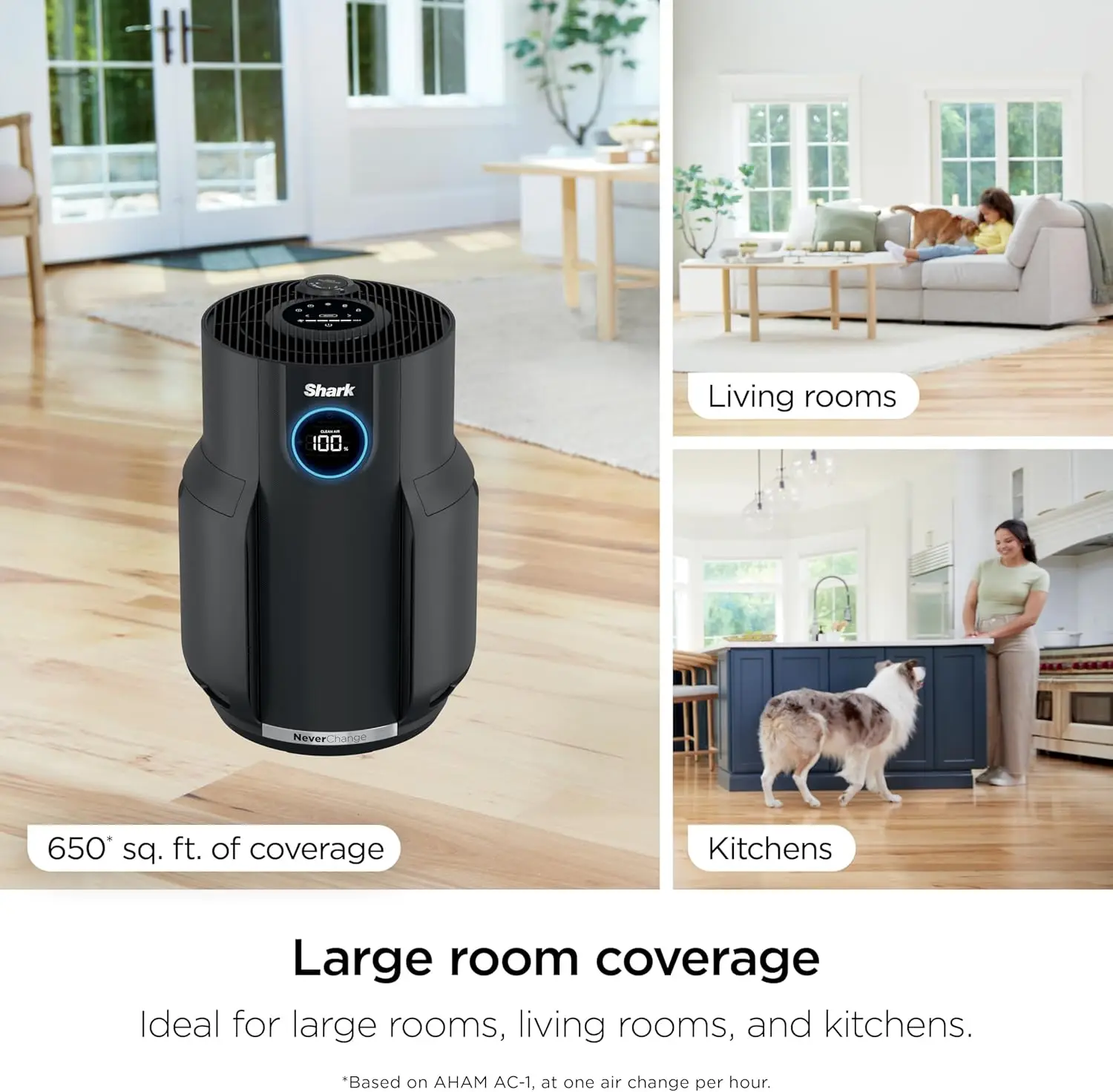 HEPA Air Purifier for Large Rooms, Captures Pollutants, Dust, Odor, and More with Long-Lasting Filter