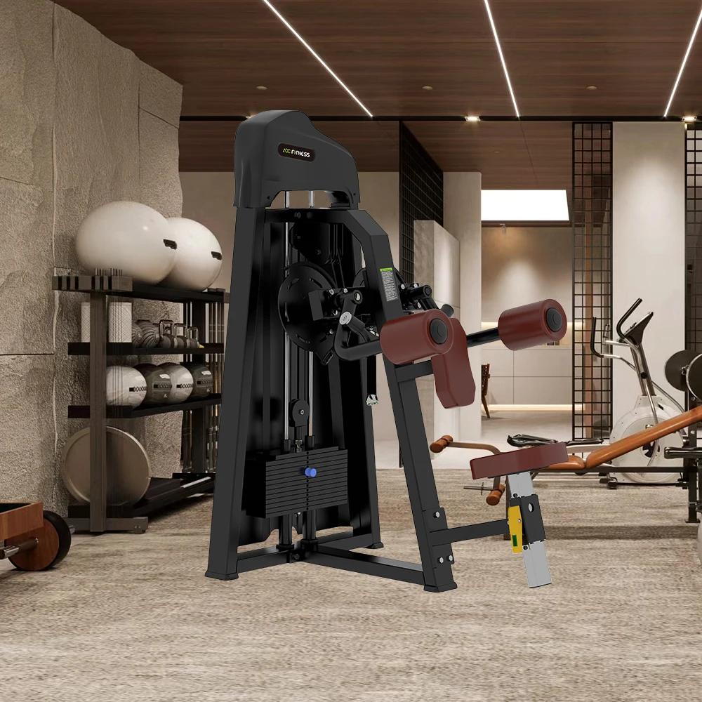 

Popular Commercial Lateral Raise Gym Equipment Bodybuilding Exercise Training Fitness Machine