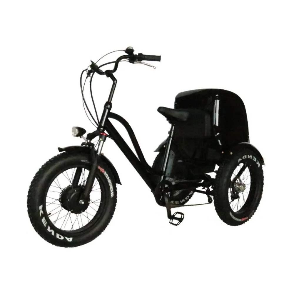 

250W 750W 48V12AH 26 20INCH Delivery express cargo takeaway takeout handicapped elderly assist travel electric tricycle 3 wheelS