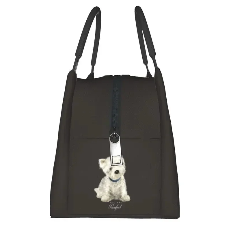 Schattige West Highland White Terrier Hond Geïsoleerde Lunch Tassen Voor Vrouwen Draagbare Westie Puppy Koeler Thermisch Lunchbox Werk Picknick