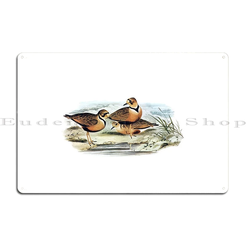 Australian Inland Dotterel Metal Plaque Poster Customized Painting Cinema Garage Plaques Tin Sign Poster