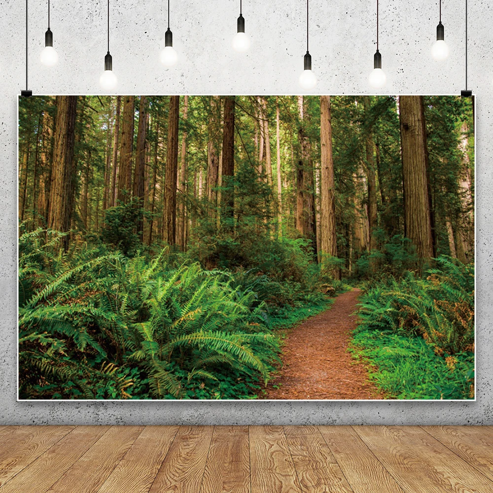 الغابة الغابات خلفيات للتصوير الفوتوغرافي الغابات المطيرة الاستوائية المناظر الطبيعية التخييم تحت عنوان استحمام الطفل الاطفال الكبار خلفية الزفاف