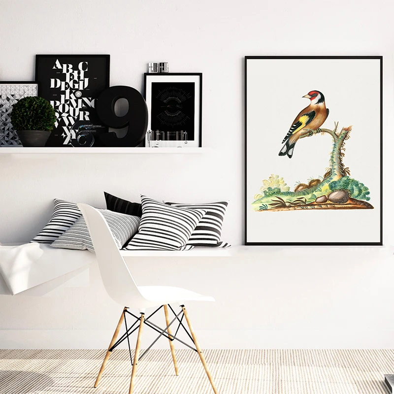 Vintage Colorful Style Birds Poster Eurasian Goldfinch Northern Green Birds Canvas Painting Animal Wall Art Picture Home Decor