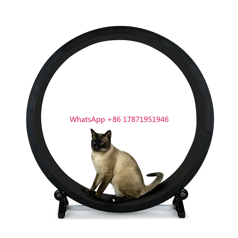 Custom Logo  Interactive Anti-depression Fiber board Mascotas Wooden Pet Tread Exercise Running Wheel Cat Pet Dog Fun Treadmill