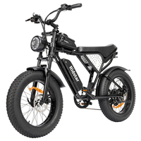 Ridstar Q20 Mini Electric Bike 1000W 48V 15AH Battery 40km/h Max Speed, 80km Range Front Suspension Fork, Mechanical Disc Brakes