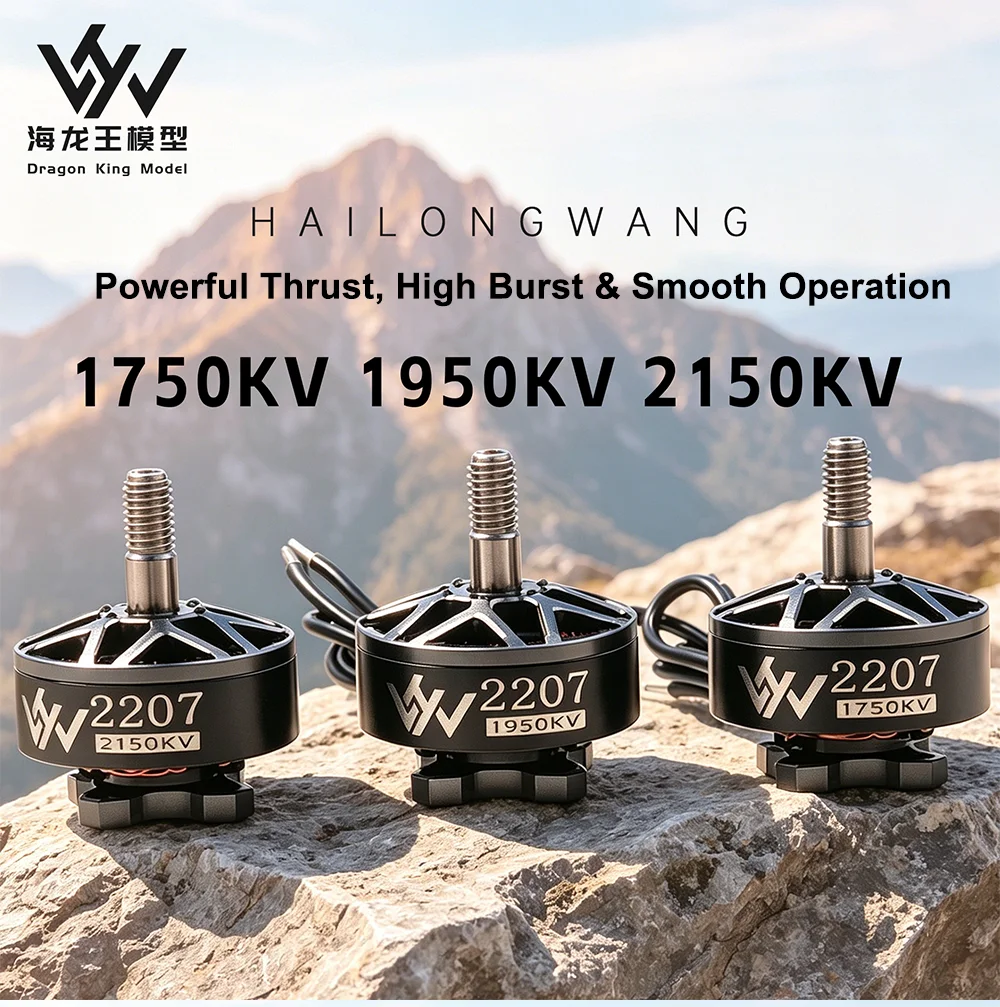 2207 FPV Bürstenloser Motor 1750KV 1950KV 2150KV 6S Lipo 1,81kg Max. Schub 34,5-35,5g 5 Zoll 51466 Propeller Racing Freestyle Drohnenteile – Detail 2