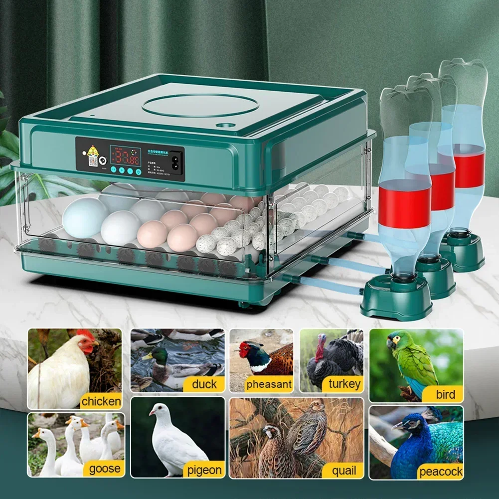 Farm Bird Quail Chicken Poultry 6/12 Egg Incubator Fully Automatic Turning Hatching Brooder Farm Hatcher Turner Incubation Tool