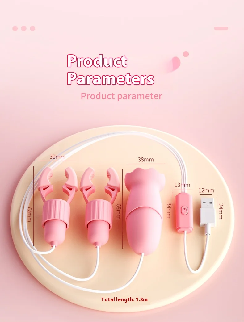 مدلك العافية الشخصي للنساء 10 أوضاع اهتزاز، محفز البظر المقاوم للماء وقابل لإعادة الشحن عبر USB