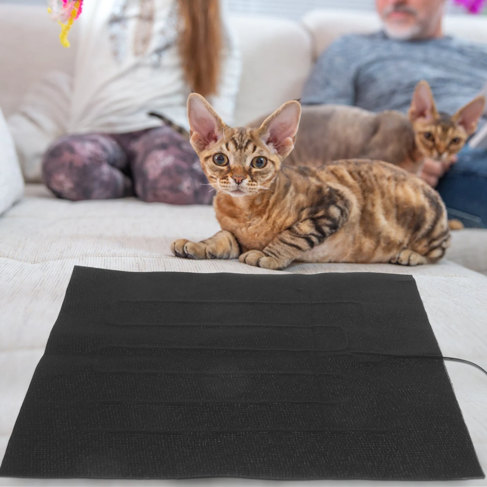 

Reptile Heating Pad USB Electric Warm Mat for Pets Cat Dog Small Animals Portable Safety Temperature Controlled Heat Mat