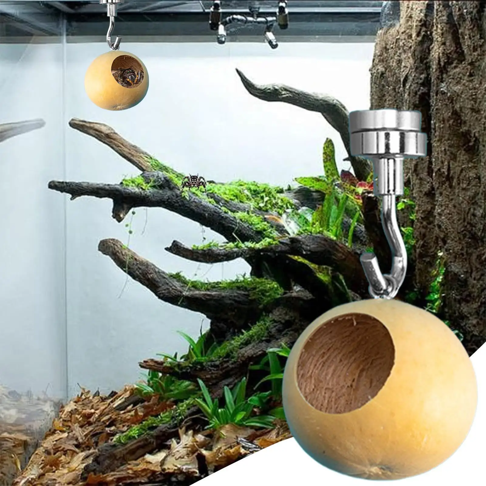 Jumping Spider House Jumping Spider Hiding Nest With Magnetism Natural Gourds Jumping Spider Enclosure For Jumping Spiders