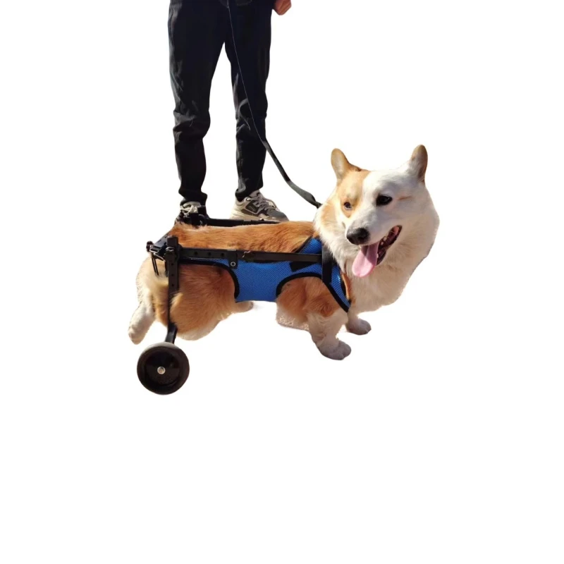 

Dog wheelchair hind limb paralysis pet scooter disabled dog hind leg assist cat teddy large small dog bracket