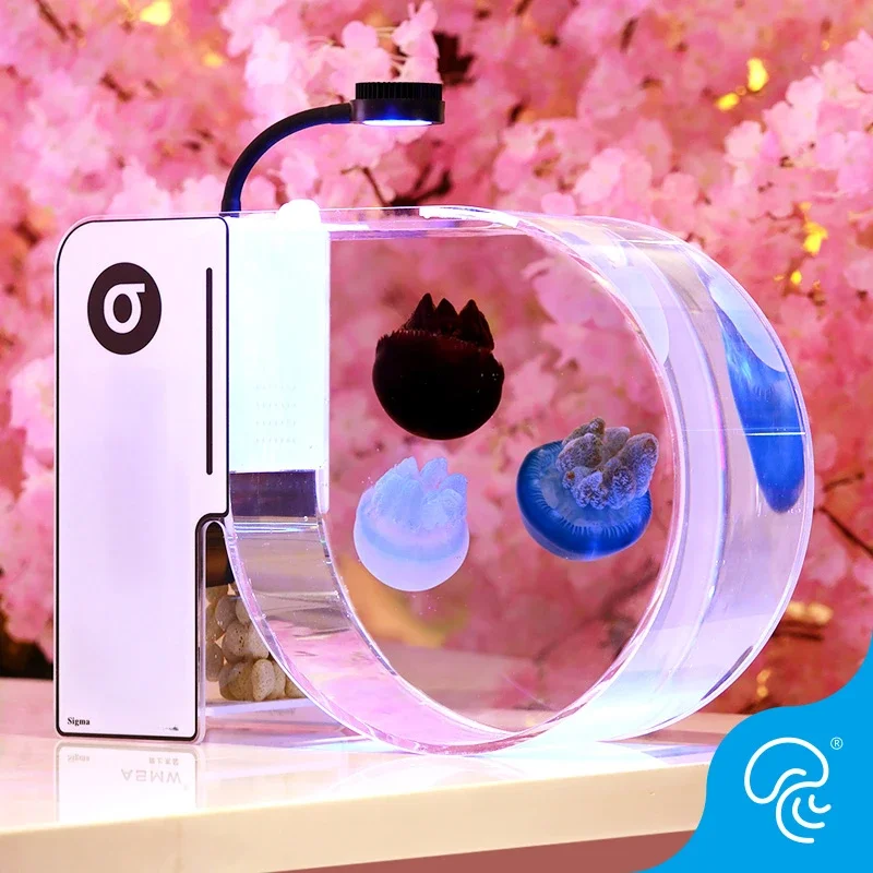 Professional jellyfish empty tank special tank fish tank aquarium family color open small desktop DIY