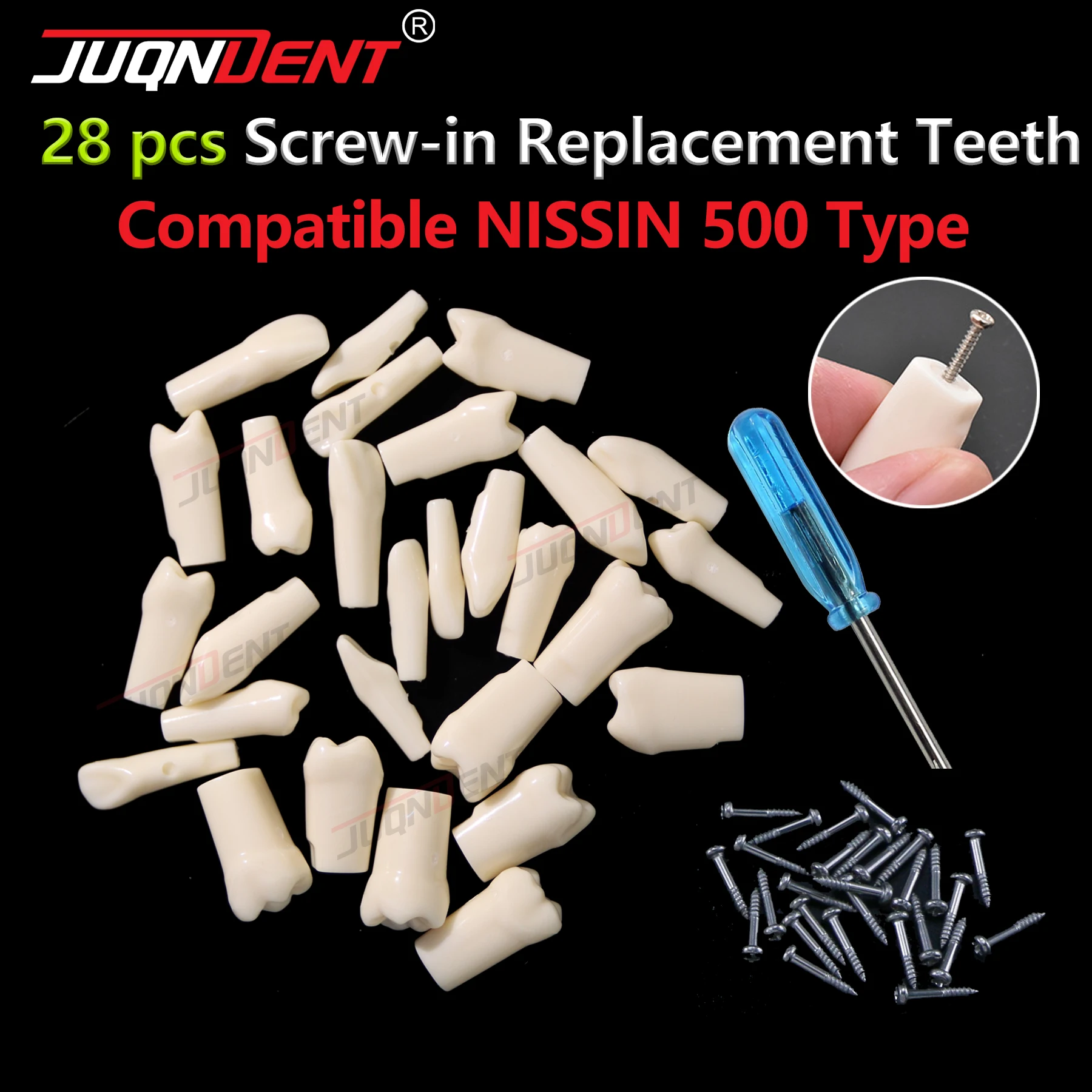 Dental Teeth Model Typodont Screw-in Replacement Teeth Resin Denture Fit NISSIN 500 Type Dentistry Training Practice Models